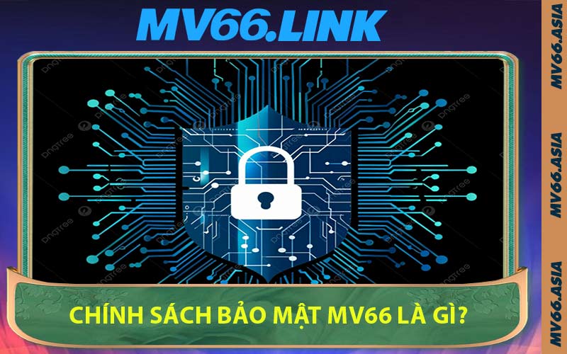 Chính Sách Bảo Mật MV66 Là Gì?