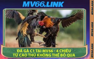 Đá Gà C1 Tại MV66 - 4 Chiêu Từ Cao Thủ Không Thể Bỏ Qua