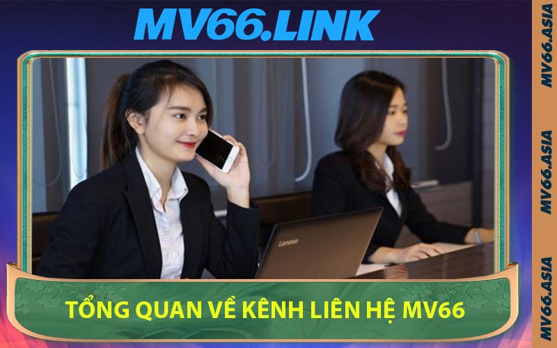 Tổng Quan Về Kênh Liên Hệ MV66