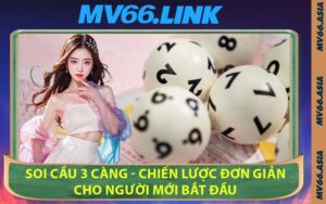 Soi Cầu 3 Càng - Chiến Lược Đơn Giản Cho Người Mới Bắt Đầu