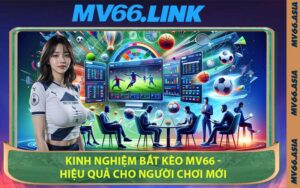 Kinh Nghiệm Bắt Kèo MV66 - Hiệu Quả Cho Người Chơi Mới
